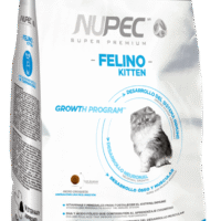 Nupec- Felino Kitten