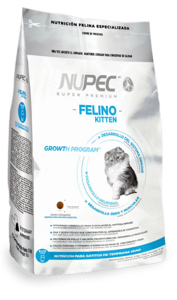 Nupec- Felino Kitten