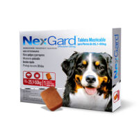 NexGard - Antipulgas masticable desparasitante externo para perro, chico 25 a 50 Kg
